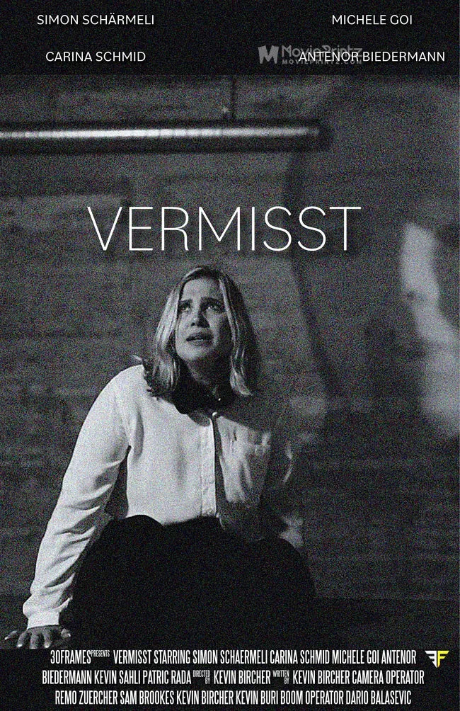 Vermisst Poster