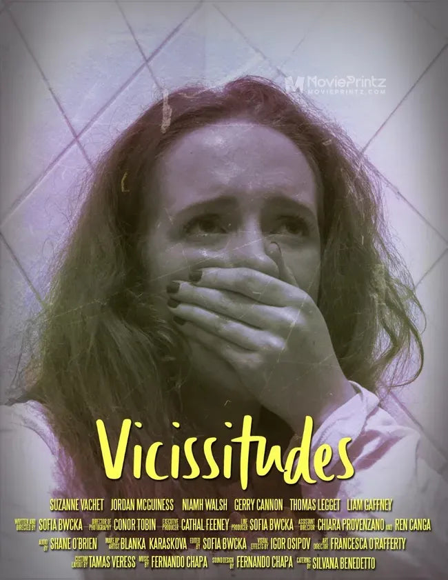 Vicissitudes Poster