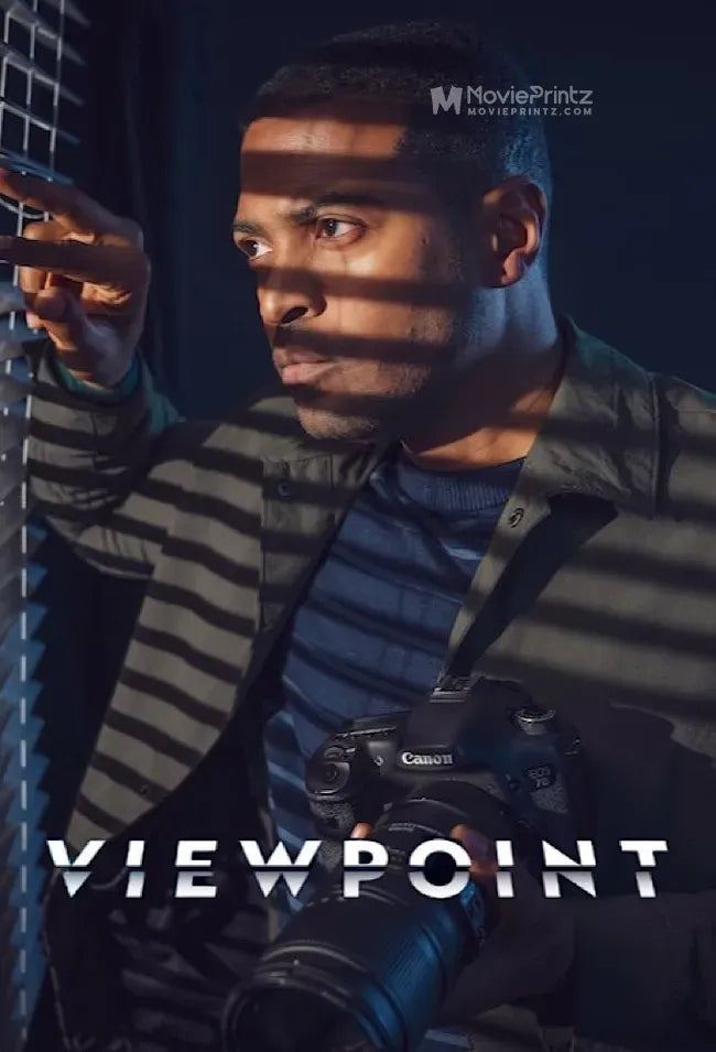 Viewpoint Poster