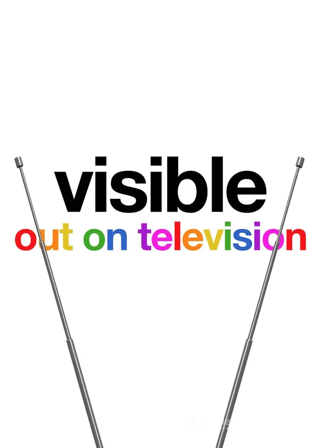 Visible: Out on Television Poster