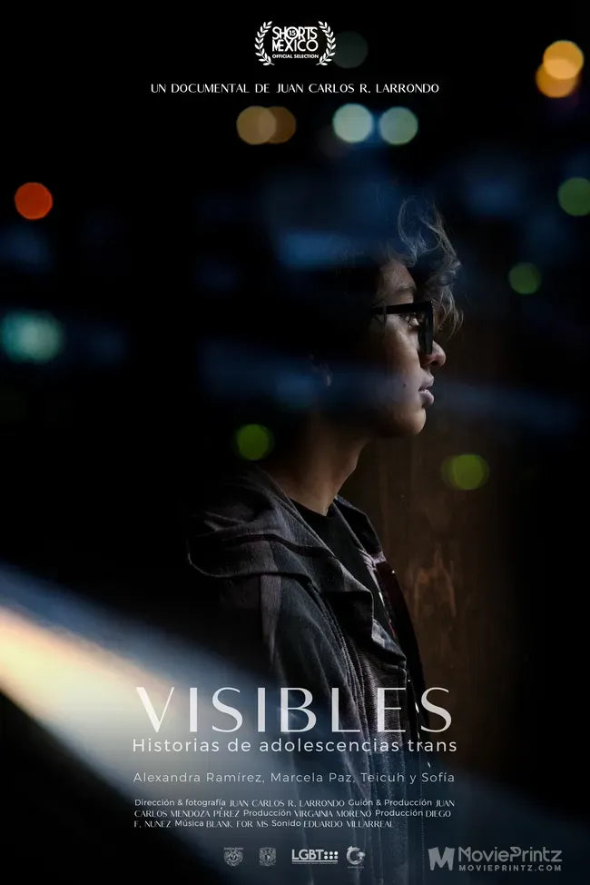 Visibles: Historias de Adolescencias Trans Poster