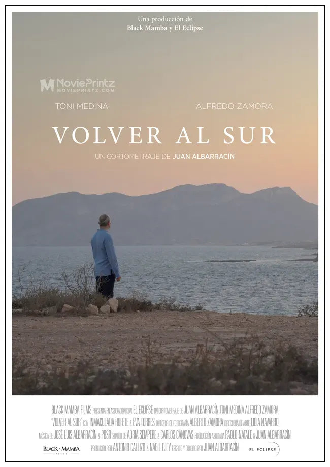 Volver al sur Poster