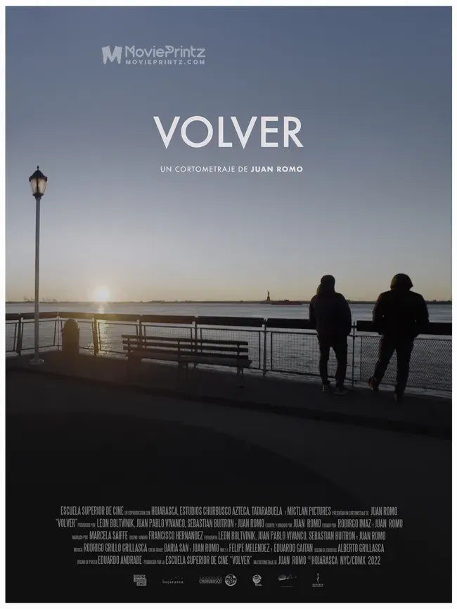 Volver Poster