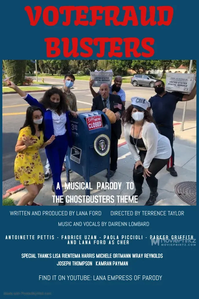VoteFraudBusters Poster