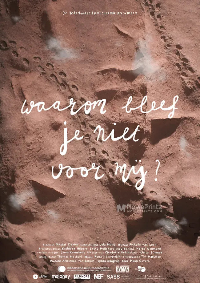 Waarom bleef je niet voor mij? Poster