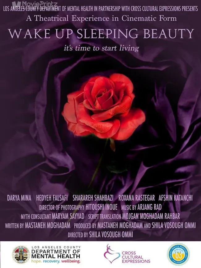 Wake Up Sleeping Beauty Poster