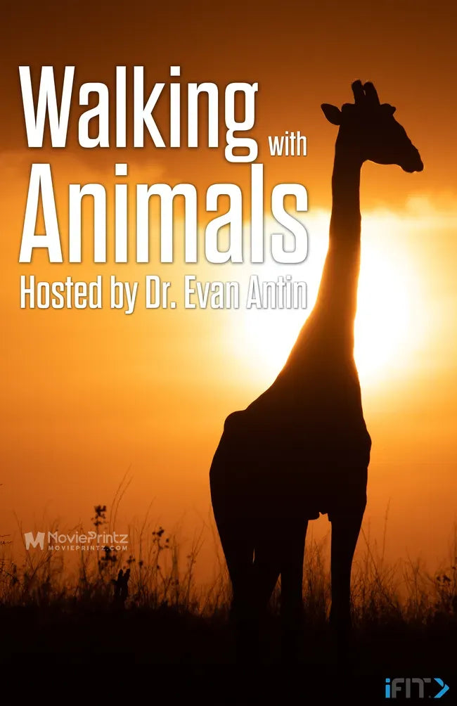 Walking with Animals Poster