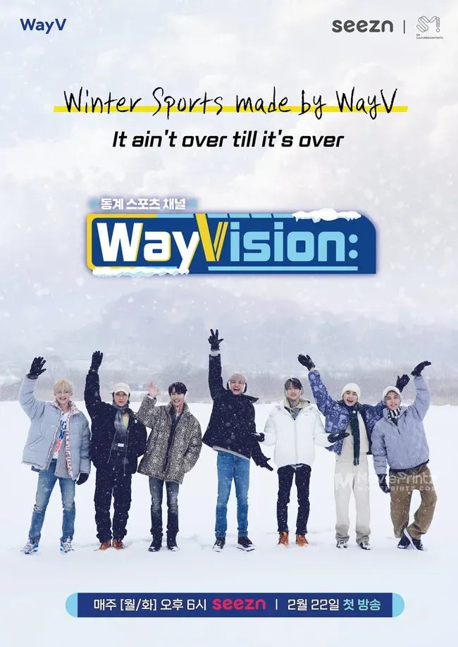 WayVision 2: Winter Sports Channel Poster