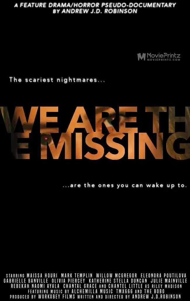 We Are the Missing Poster