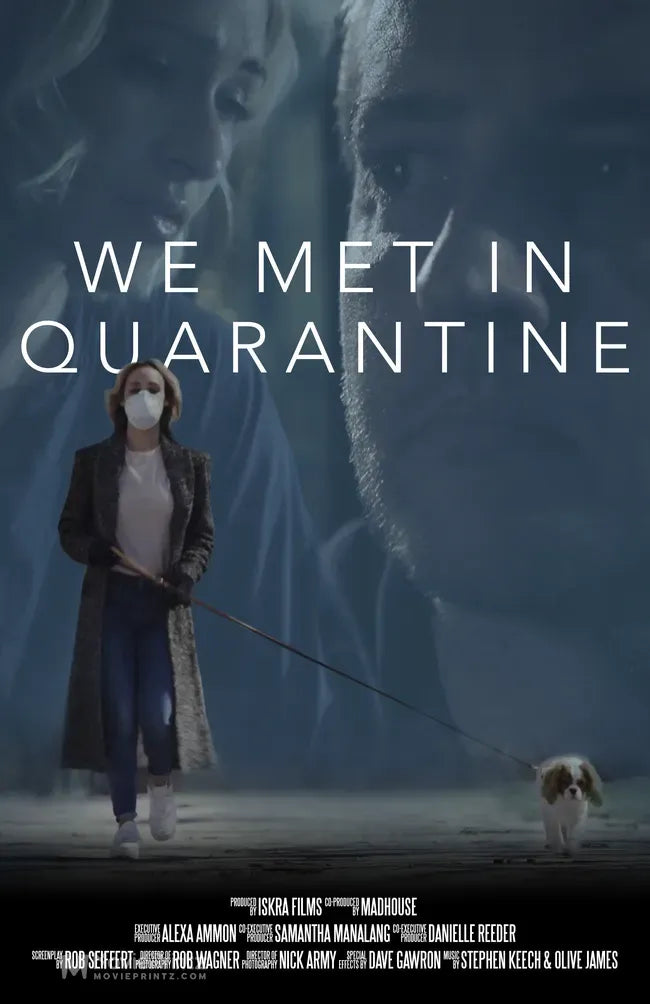 We Met in Quarantine Poster