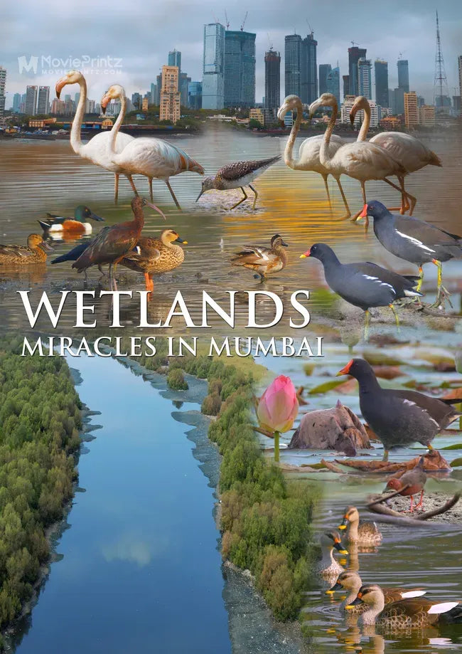 Wetlands - Miracles in Mumbai Poster