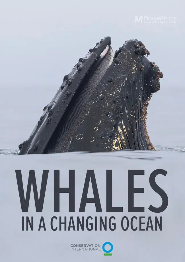 Whales in a Changing Ocean Poster