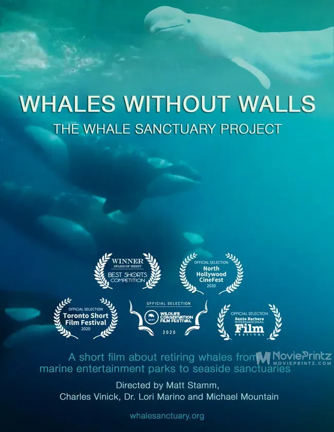 Whales Without Walls Poster