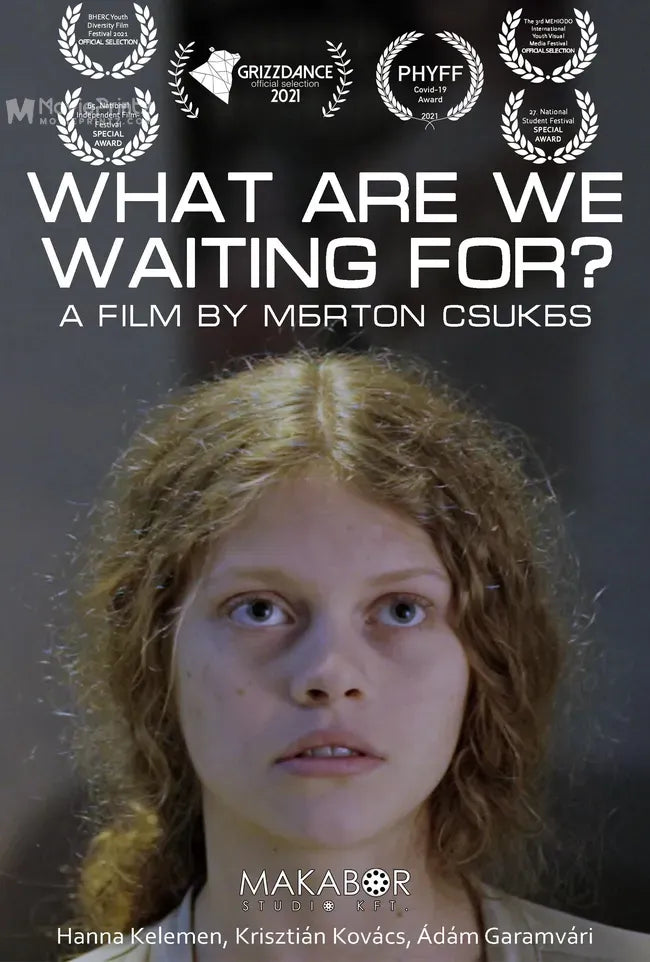 What are we waiting for? Poster