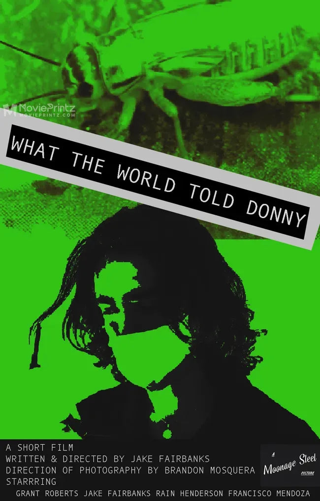 What the World Told Donny Poster