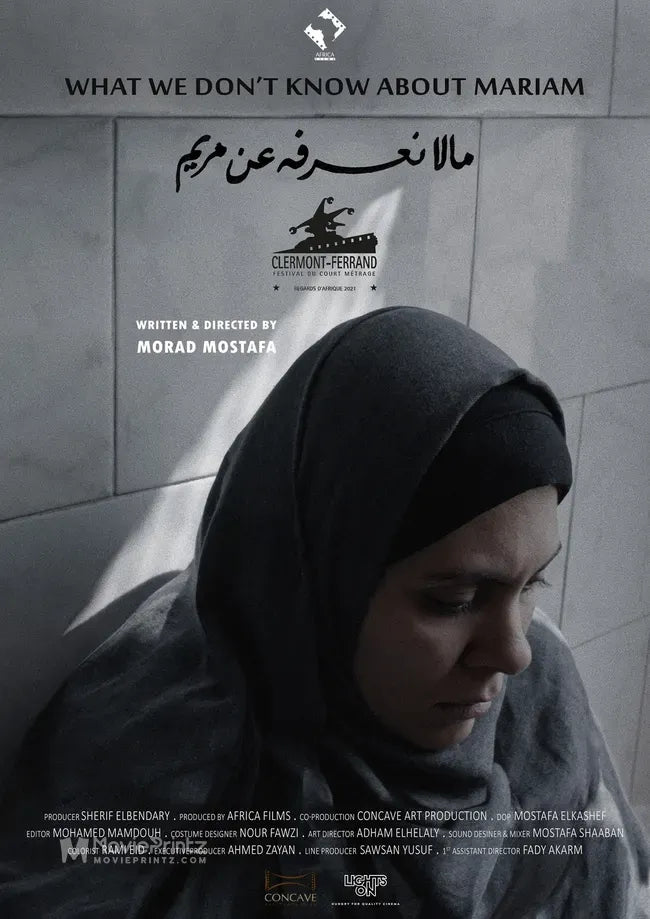 What We don't know about Mariam Poster