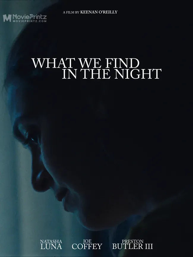 What We Find in the Night Poster