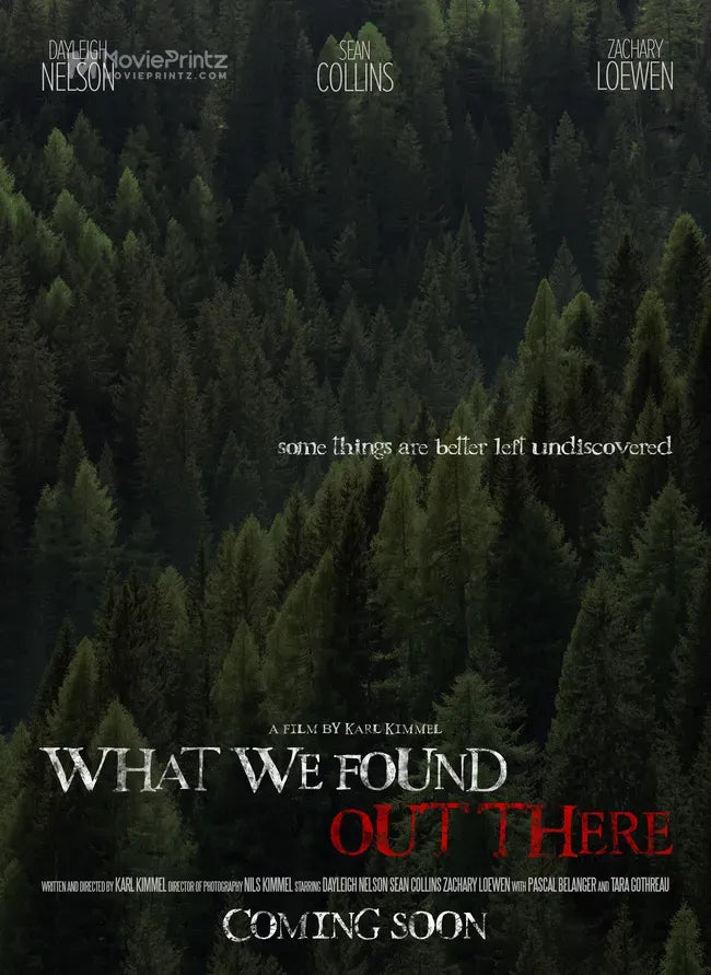 What We Found Out There Poster