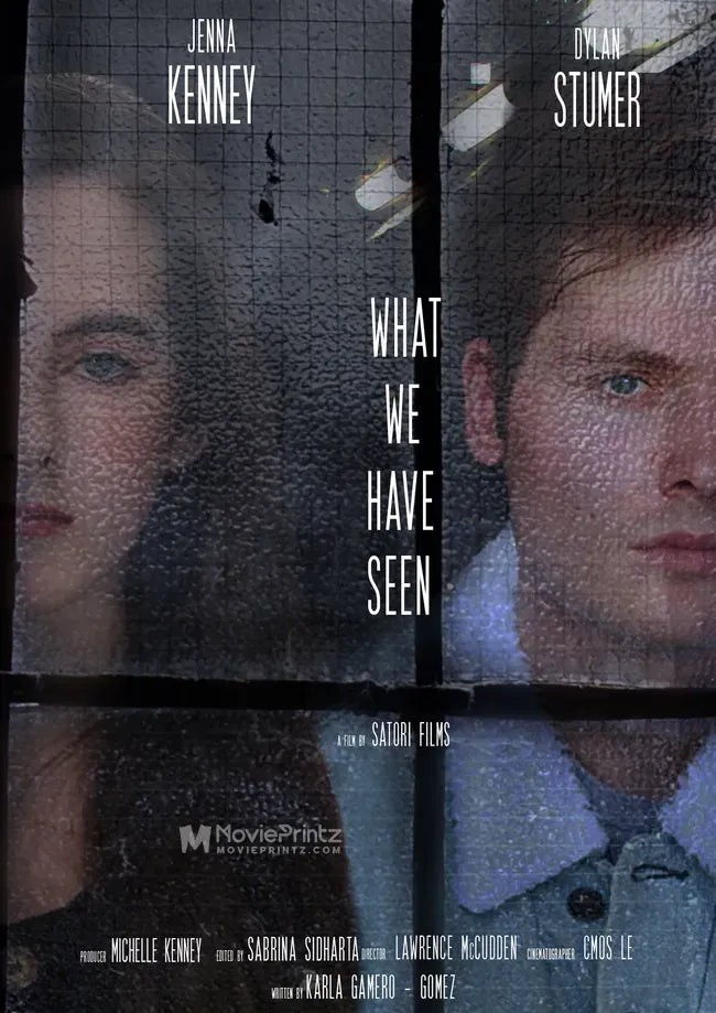 What We Have Seen Poster