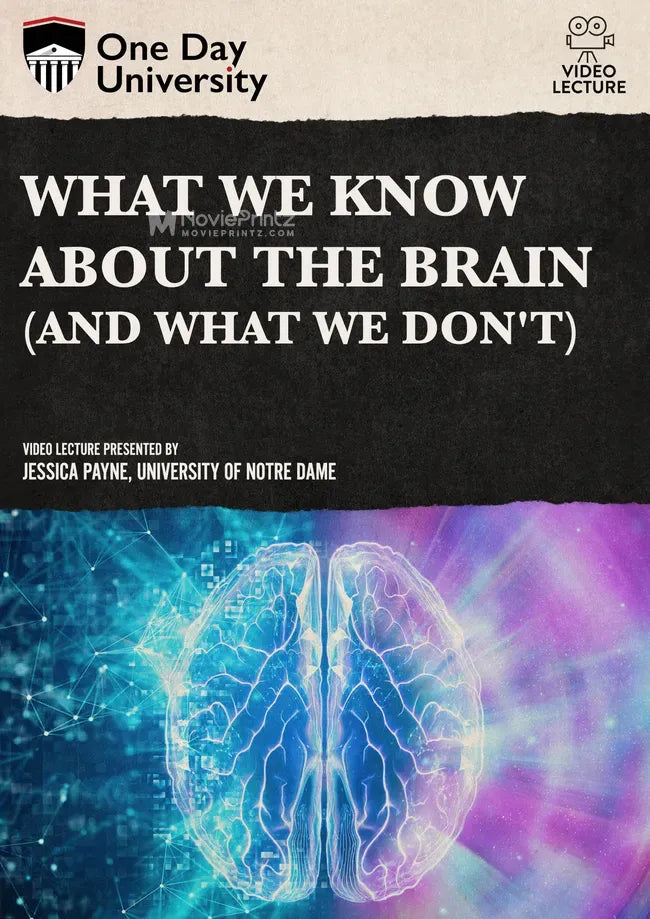 What We Know About the Brain (and What We Don't) Poster