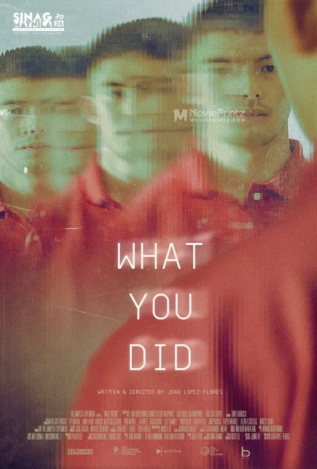 What You Did Poster