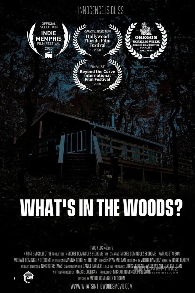 What's in the Woods? Poster