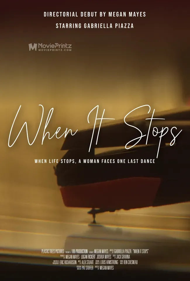 When It Stops Poster