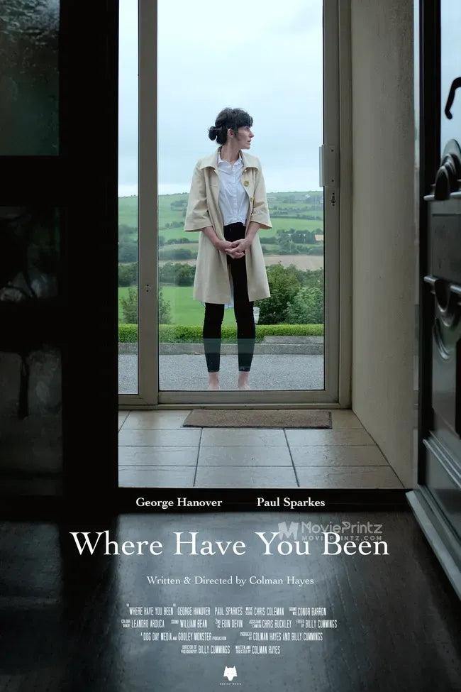 Where Have You Been Poster