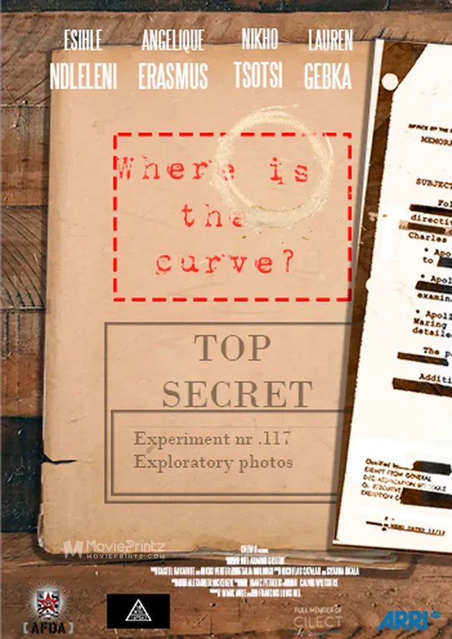 Where Is the Curve? Poster