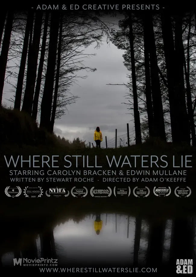 Where Still Waters Lie Poster