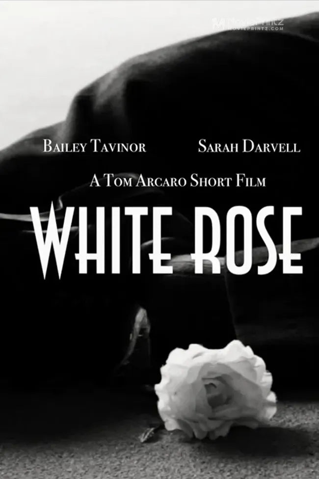 White Rose Poster