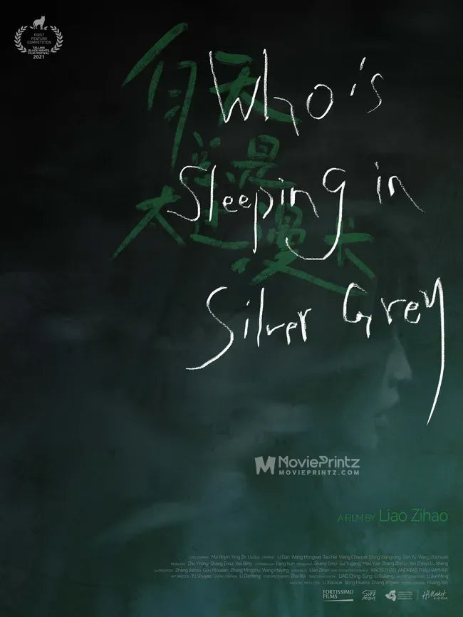 Who Is Sleeping in Silver Grey Poster