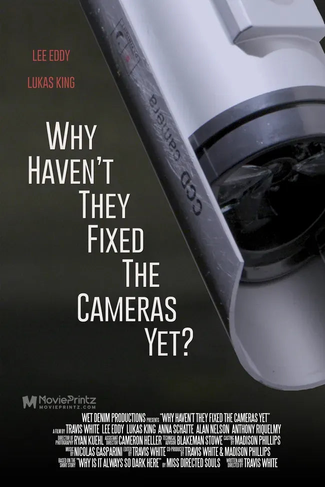 Why Haven't They Fixed the Cameras Yet? Poster