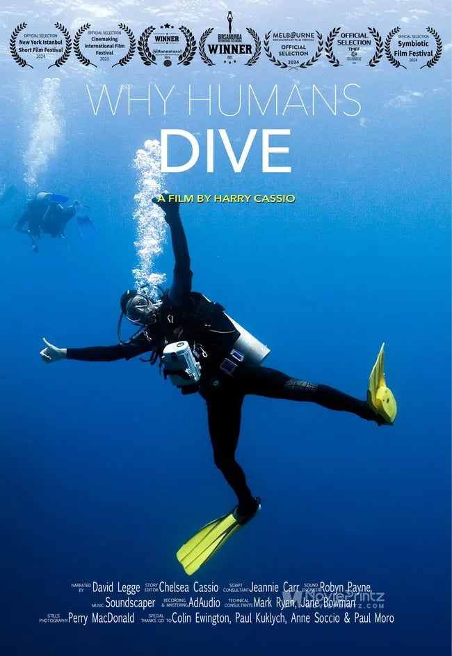 Why Humans Dive Poster