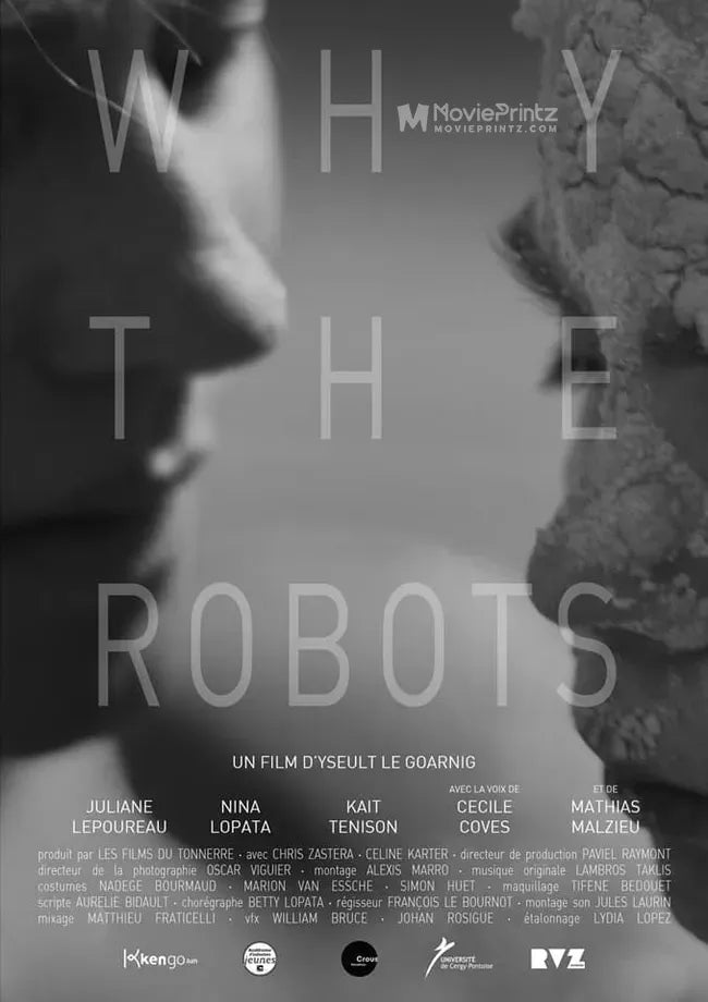 Why the Robots Poster