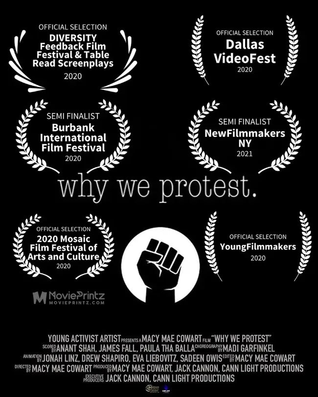 Why We Protest Poster