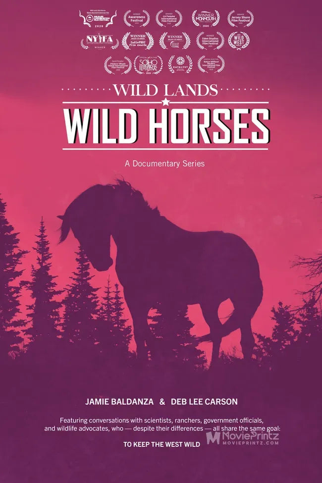 Wild Lands Wild Horses Poster