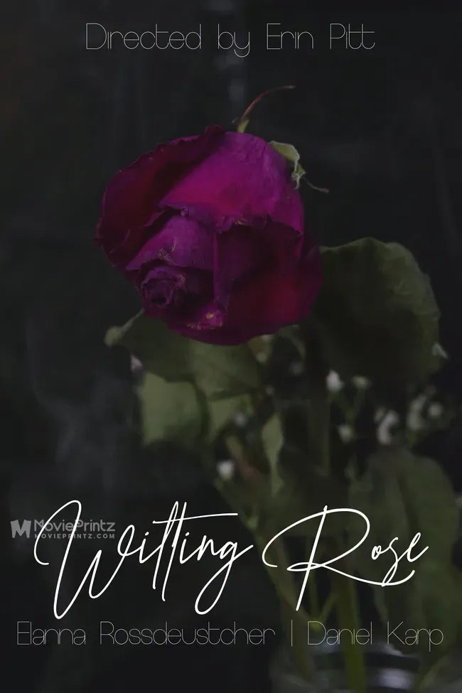 Wilting Rose Poster