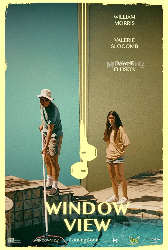 Window View Poster