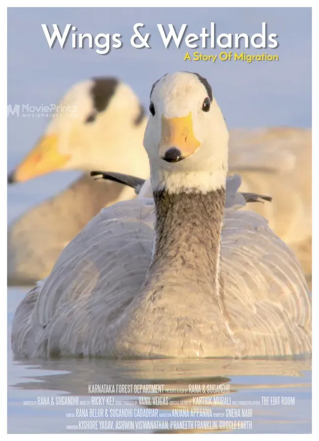 Wings & Wetlands Poster