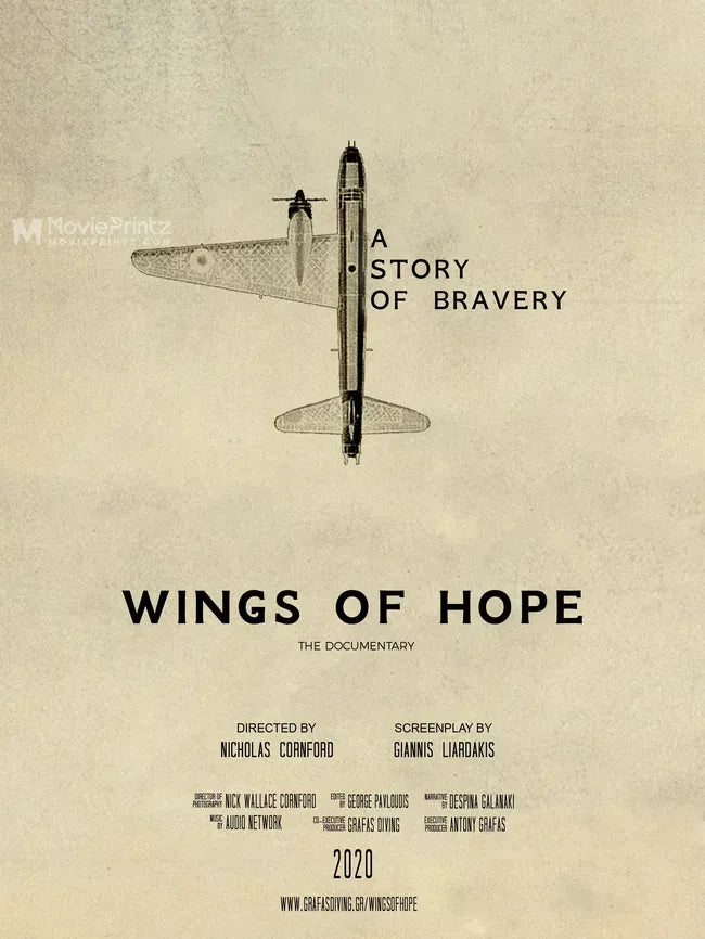 Wings of Hope: A Story of Bravery Poster