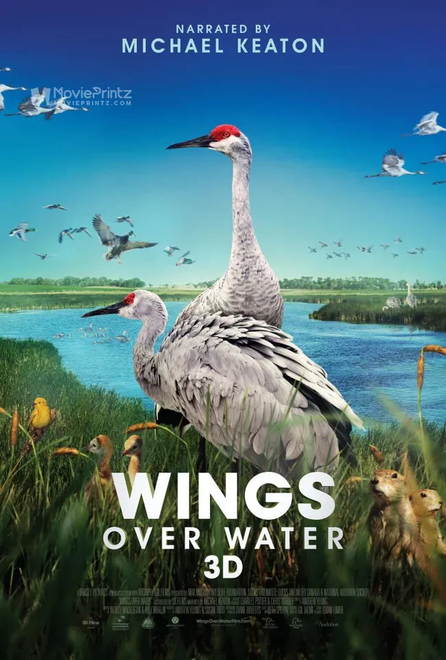 Wings Over Water Poster