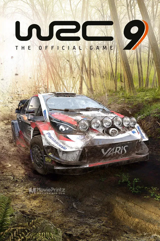 WRC 9: World Rally Championship Poster