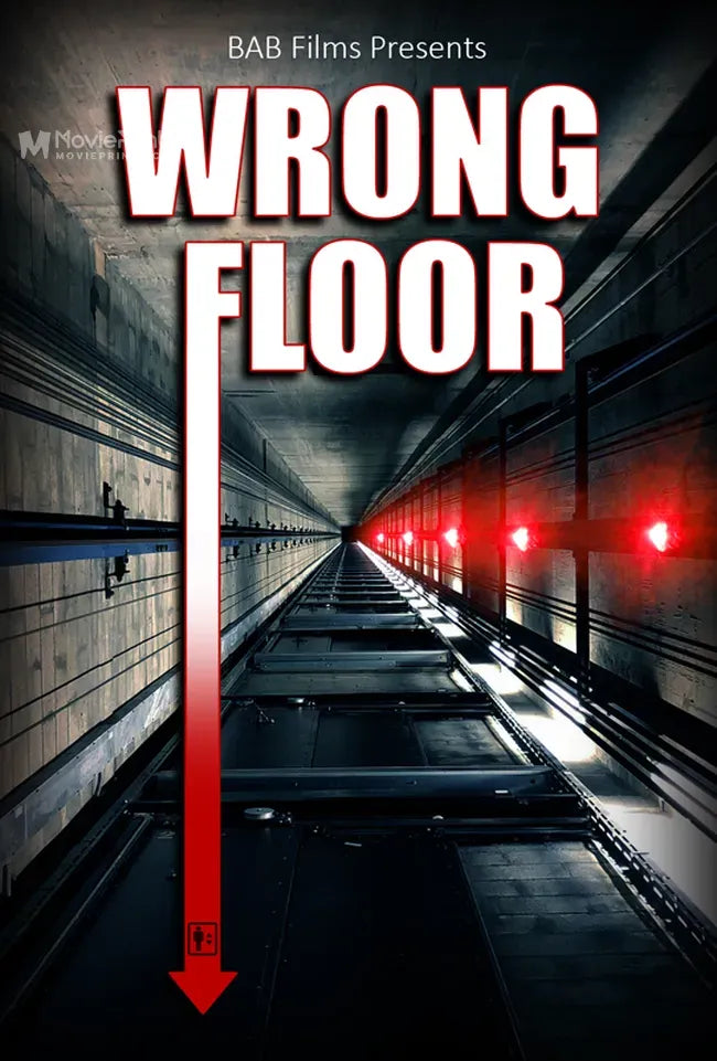 Wrong Floor Poster