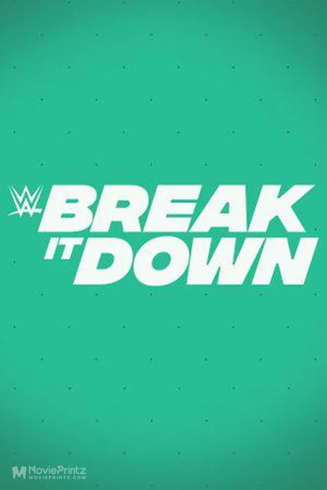 WWE Break It Down Poster