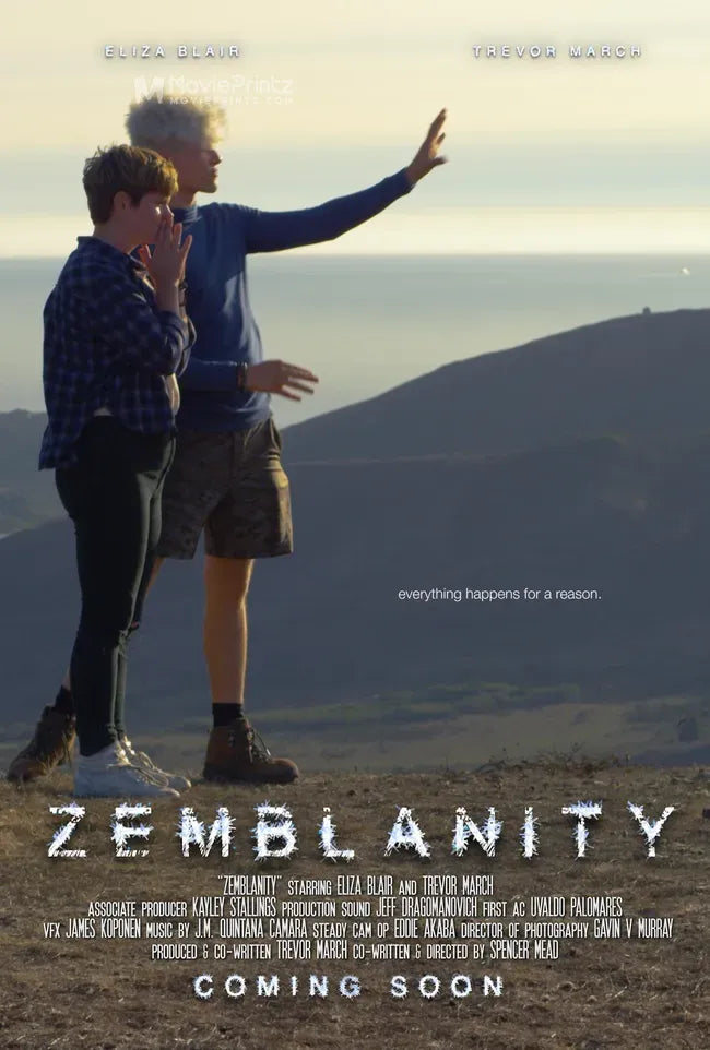 Zemblanity Poster