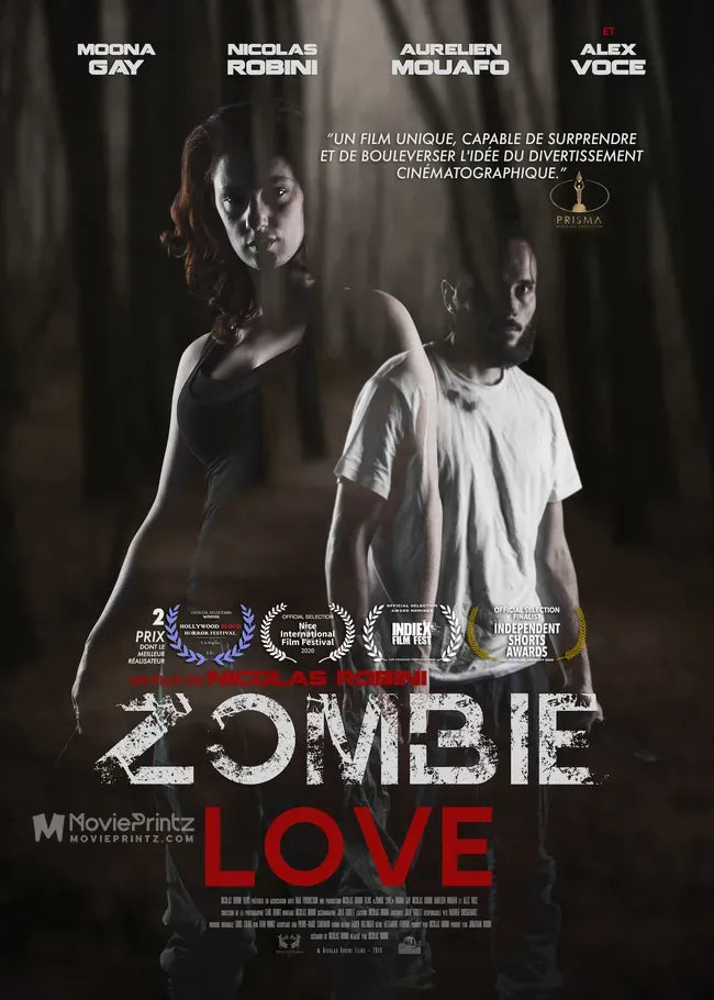 Zombie Love Poster